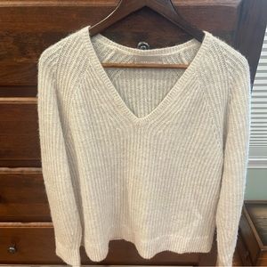 Everlane Alpaca v-neck sweater